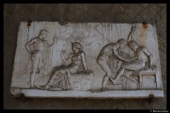 DSC01779-01