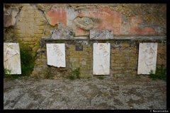 DSC01782-01
