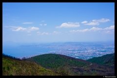DSC01791-01