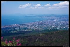 DSC01795-01-1