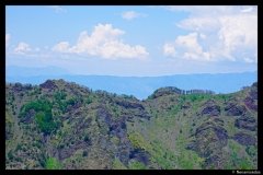 DSC01818-01