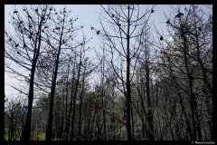 DSC01821-01
