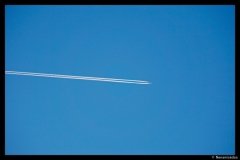 DSC01846-01