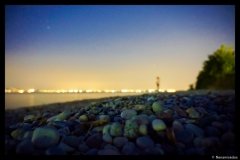 DSC01866-03-1