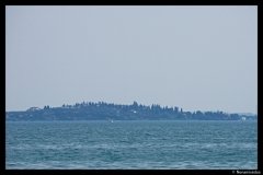 DSC01908-01