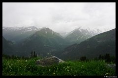 DSC01177-1