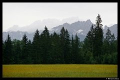 DSC01267