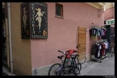 DSC01305