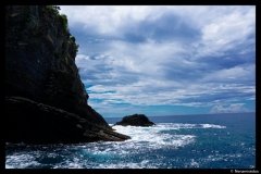 DSC01335