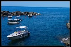 DSC01519