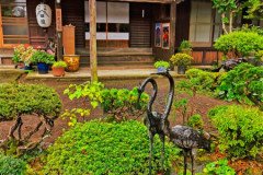 IMG_20191029_083346