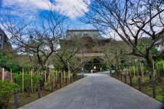 DSC07366