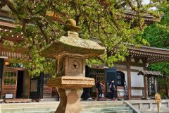 IMG_20191027_112304