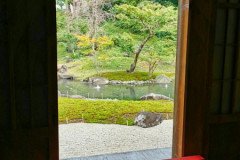 IMG_20191027_114434