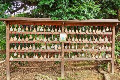 IMG_20191027_121840