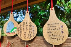 IMG_20191027_121942