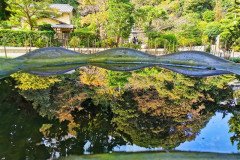 IMG_20191027_131755