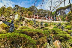 IMG_20191027_144446