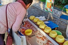 IMG_20191027_153019