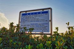 IMG_20191027_161550