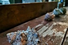 IMG_20191027_170532