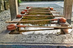 IMG_20191028_080352