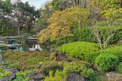 IMG_20191028_082811