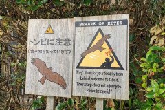 IMG_20191028_083819