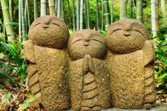 IMG_20191028_084315