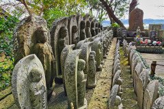 IMG_20191028_084706