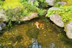 IMG_20191028_084901