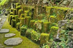 IMG_20191028_085815