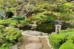 IMG_20191028_090148