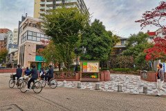 IMG_20191101_152912
