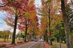 IMG_20191101_153642