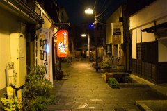 DSC07536