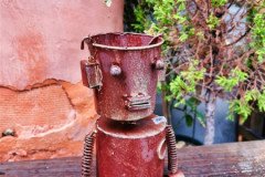 IMG_20191029_140314