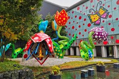 IMG_20191029_140709