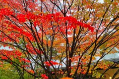 IMG_20191029_160809
