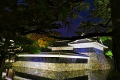 IMG_20191029_173302
