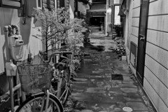IMG_20191029_175912