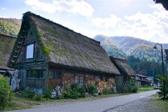 DSC07781