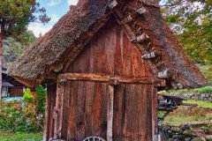 IMG_20191101_085844