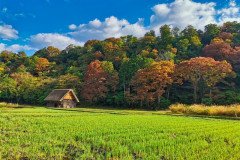 IMG_20191101_090141