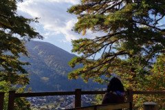 IMG_20191101_091952