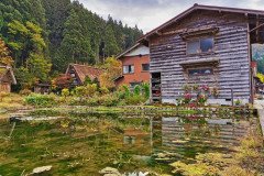 IMG_20191101_093605