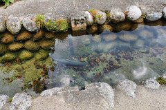 IMG_20191101_094554