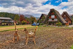IMG_20191101_094632
