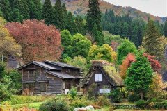 IMG_20191101_095100