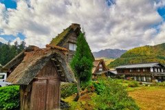 IMG_20191101_095428